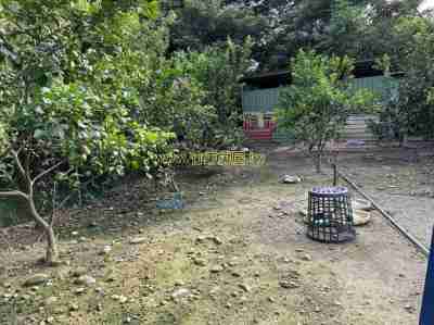 售新竹縣新埔鎮新埔近市區景觀農+林休閒地368萬