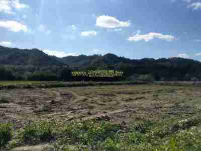 售新竹縣關西鎮關西石光田休閒地388萬