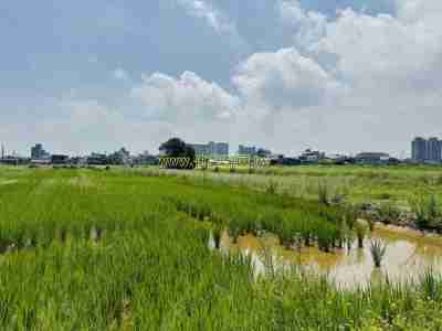 售新竹縣新豐鄉坑子口重劃田休閒地1,780萬