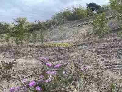 售新竹縣北埔鄉北埔休閒農地休閒地598萬