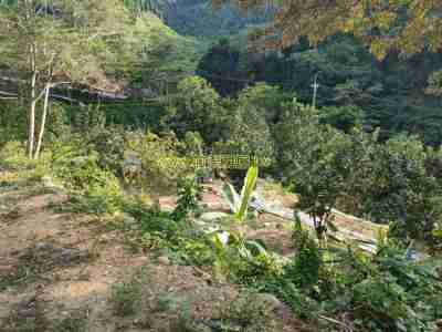 售新竹縣芎林鄉芎林休閒地B休閒地758萬