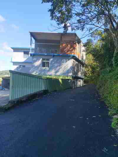 售油羅甲建發財地建地1,660萬