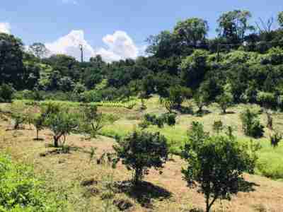 售新竹縣峨眉鄉峨眉平坦橘園美地(1)休閒地1,450萬